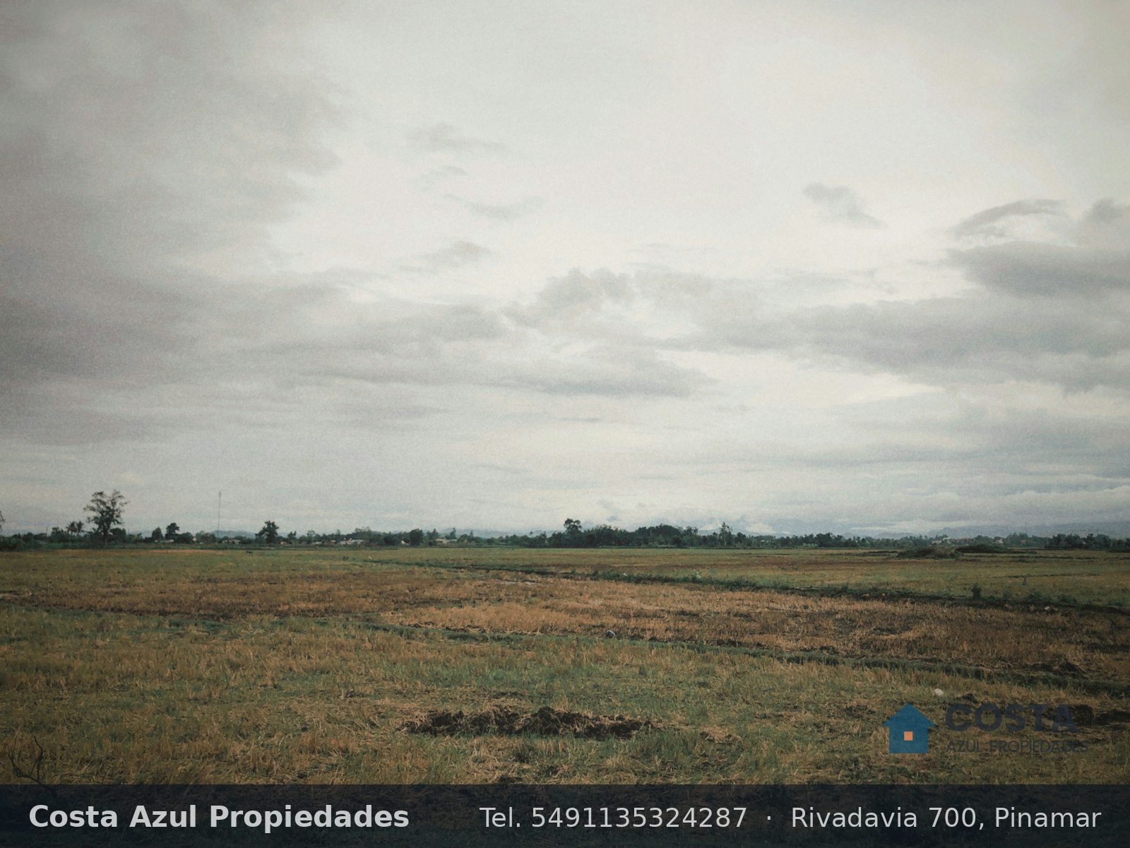 Lote arbolado de 700 m² en Ostende, cerca del mar, foto 3