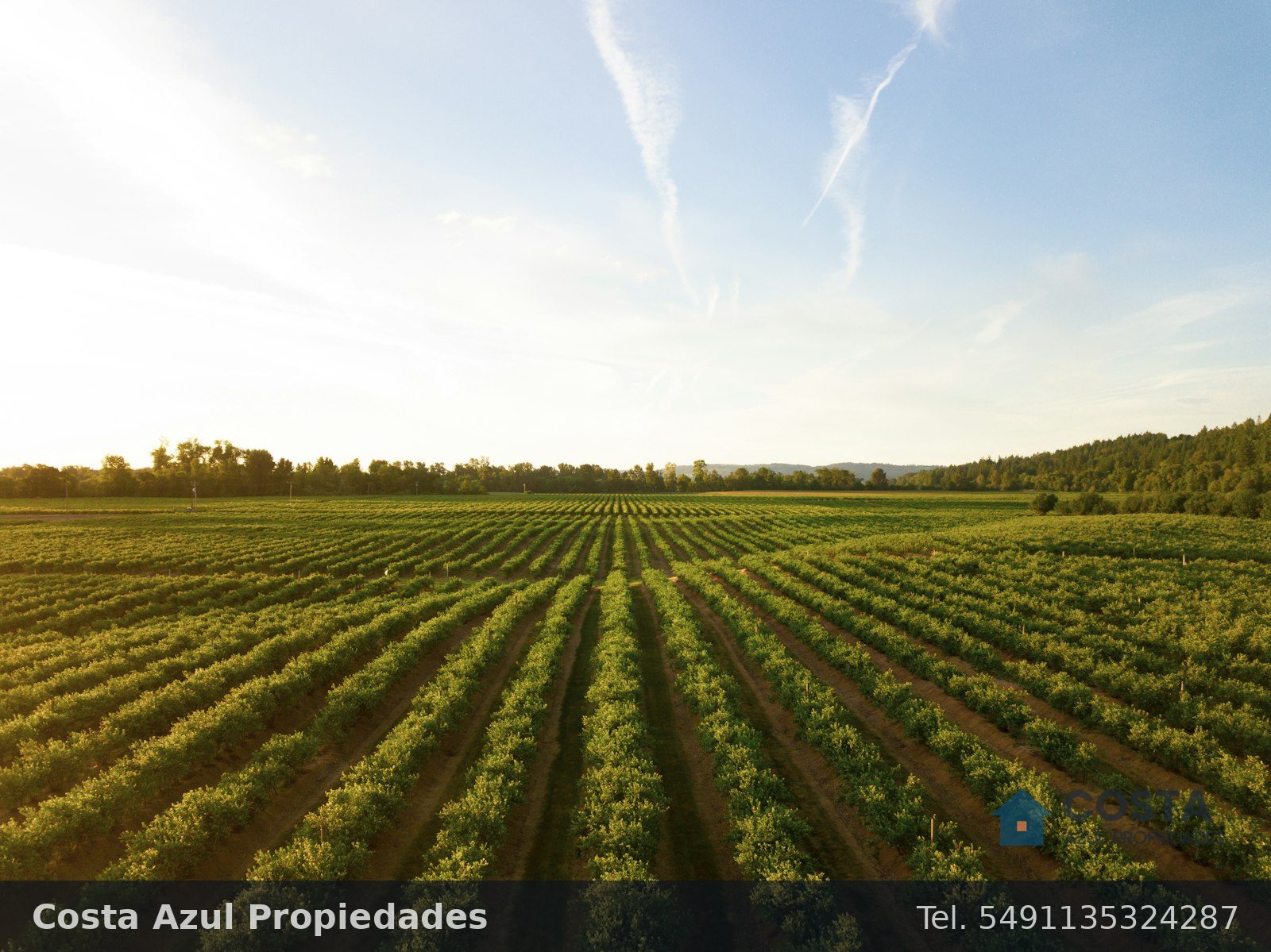 Campo mixto de 210 hectáreas en Balcarce, foto 4